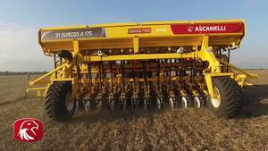 Sembradora de Grano Fino nueva Ascanelli RS 4000 GF
