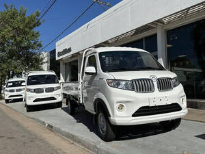 Shineray T30 C/s 4 Ruedas 1.5 Ton. 0Km My2026 Orio Hnos