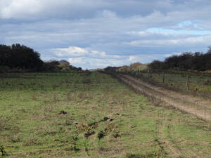 Sl0116 Venta Ganadero 10.000 Ha. Dupuy San Luis