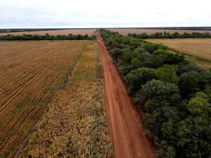 Slta0061 Venta Agricola 9600 Has Anta Salta