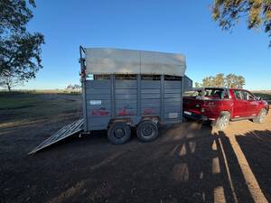 Trailer para caballos Loma Rural