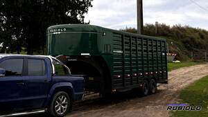 Trailer Semirremolque Homologado para caballos Estilo Americano (JA1023-S)