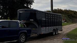 Trailer Semirremolque Homologado Para Caballos Ja1022-S