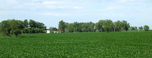Traill - 1561 Ha - Santa Fe