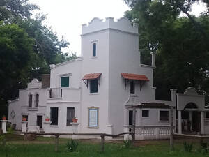 Vende 10 Has Hermosas En Saladillo - Provincia De Bsas