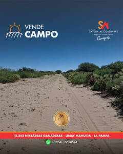 VENDE: CAMPO ganadero de 12.342 hectáreas en Limay Mahuida, La Pampa.