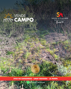 VENDE: CAMPO GANADERO de 5.950 hectáreas nominales, Limay Mahuida, La Pampa.
