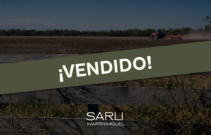 Vendido. Campo Mixto 300 Ha - Crucecita Séptima