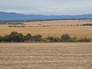 En Venta Campo Mixto 1500 Ha. Rosario De La Frontera