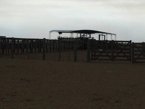Vendo 15000 Has De Campo Mixto En Vera - Santa Fe