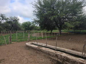 Vendo 2300 Ha. Quines - San Luis