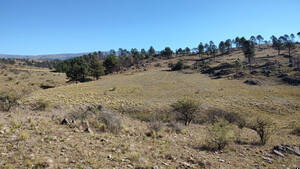 Vendo 5 Has De Campo En Pampa Alta - Potrero De Garay