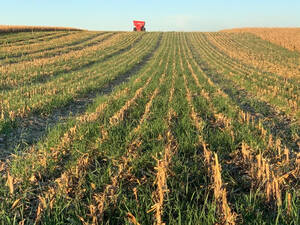 En Venta Campo Mixto 500 Ha. Villa Mercedes - San Luis