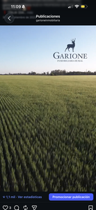 Vendo campo suelo 1 en Sunchales 