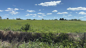Vendo Campo 11 Ha Diamante