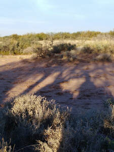 Vendo Campo 1860 Hectáreas Provincia De San Luis.