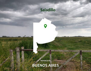 Vendo Campo 240 Hectáreas Mixto Saladillo