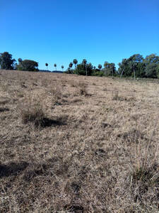 Vendo Campo 5 Hectáreas A 20 Km De Goya Corrientes
