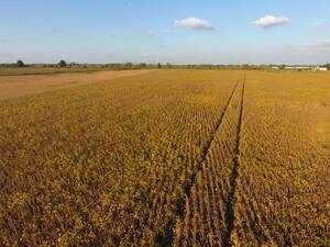 Campo Agrícola En Venta 28 Hectáreas En Humboldt.