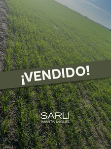 Vendido. Campo Agrícola Don Cristóbal 250 Ha