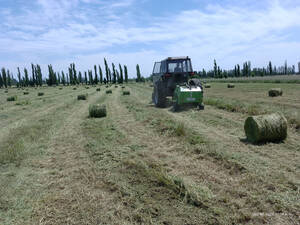 Vendo Campo