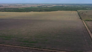 Vendo Campo En Cordoba Maquinista Gallini 160 Has Agric