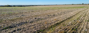 Vendo Campo En Maria Grande 89 Ha