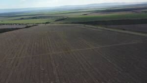 Vendo Campo En San Luis 390 Has Agricolas