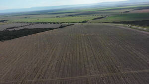 Vendo Campo En San Luis Naschel 190 Has Agrícolas
