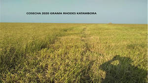 Vendo Campo Ganadero 8000 Has