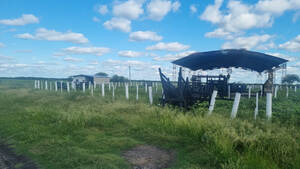 Vendo Campo Ganadero Sauce Luna 1526 Ha