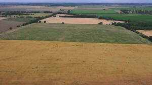 Vendo Campo La Pampa Sur Winifreda 145 Has Agricolas