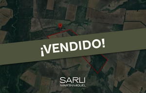 Vendido. Campo Mixto 105 Ha Don Cristobal