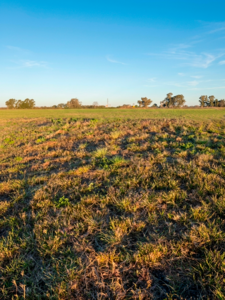 Vendo Campo Mixto de 109 ha en Venta sobre Ruta 127 – El Pingo, Entre Ríos