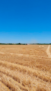 Vendo campo mixto de 160 ha – A 40 km de Paraná
