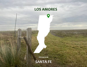 Vendo Excelente Campo Mixto Santa Fe. Oportunidad