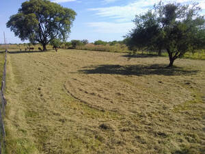 Vendo Lote De 25 X 25 Mts. En Mercedes - Ctes.