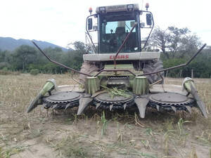 Vendo Picadora Claas 850