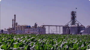 Vendo Planta Biodiesel, Expeller, Alim. Balanceados