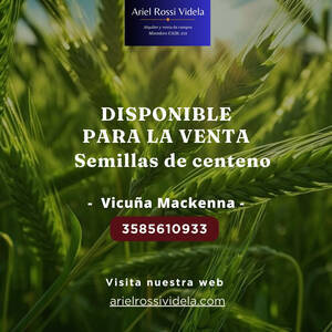 Vendo Semilla De Centeno