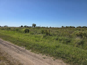 Vendo Terreno De 4.556 M2. En Herrera, Entre Ríos.