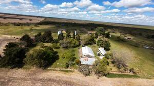 Venta 1.262 Has. en La Paz - Entre Rios