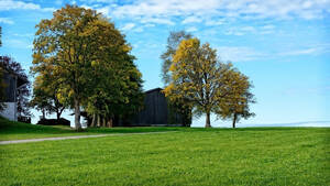Venta 200 Ha Agricolas