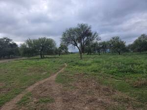 Venta 263 Ha Monte Quines sobre Ruta