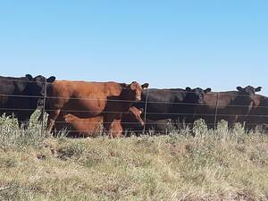 VENTA 4500HA FORMOSA 50% AGRICOLA CON MEJORAS 