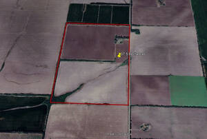 Venta - Campo - 37.5 Hectareas - San Pedro Buenos Aires