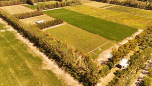 Venta Campo 7 Has Zarate, Buenos Aires