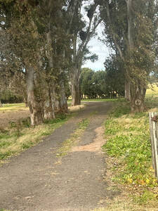 Venta - Campo De Privilegio - 25 Hectareas- Baradero- SOBRE PAVIMENTO