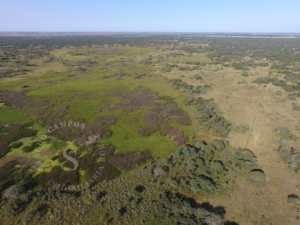 Venta Campo Ganadero A Desarrollar. 230 Ha. Galisteo.