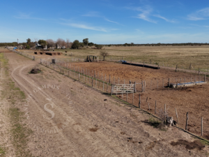 Venta Campo Mixto. 196 Ha. La Camila, Santa Fe.